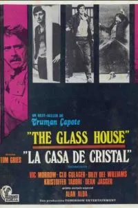 Стеклянный дом